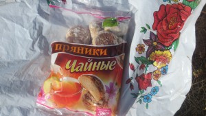 Während unseres zehntägigen Aufenthaltes spürten wir ihre russische Gastfreundschaft, die zu Recht einen guten Ruf genießt. Vor allem beim Essen wurden wir verwöhnt, auch wenn vieles für uns Neuland war. Regionale Spezialitäten wie Buchweizengrütze und traditionell zubereitete Suppe aus dem Baikalfisch Omul stießen auf geteilte Geschmäcker.